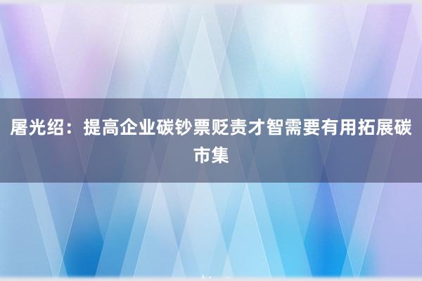 屠光绍：提高企业碳钞票贬责才智需要有用拓展碳市集